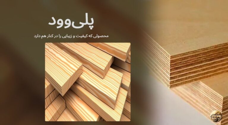پلی وود